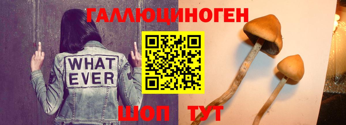Галлюциногенные грибы Psilocybine cubensis  Вход с VPN  Пенза 